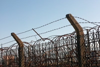 The Fence